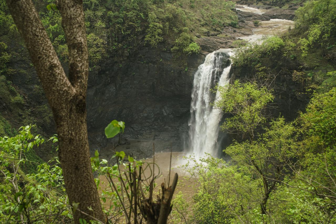 Sterling Nature Trails Dabhosa , Jawahar Birjpara Luaran gambar