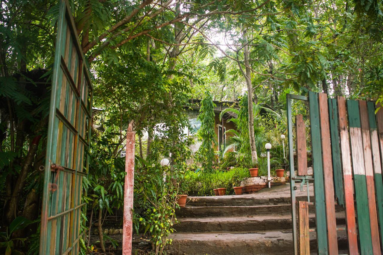 Sterling Nature Trails Dabhosa , Jawahar Birjpara Luaran gambar